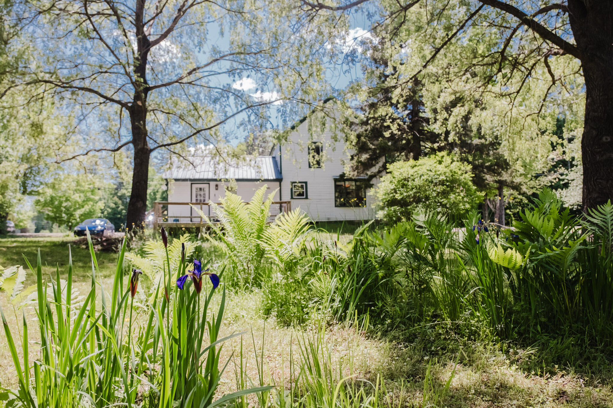 12 Paradise Hill Road Bethel, ME 04217 - Photo 60 of 64 Stonetree Creative-7709