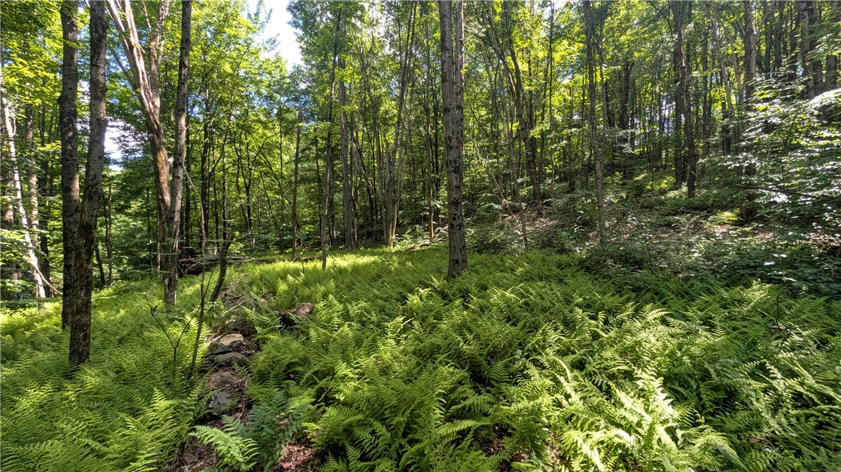 201 Sunrise Mountain Road Kortright, NY 13739 - Photo 34 of 49