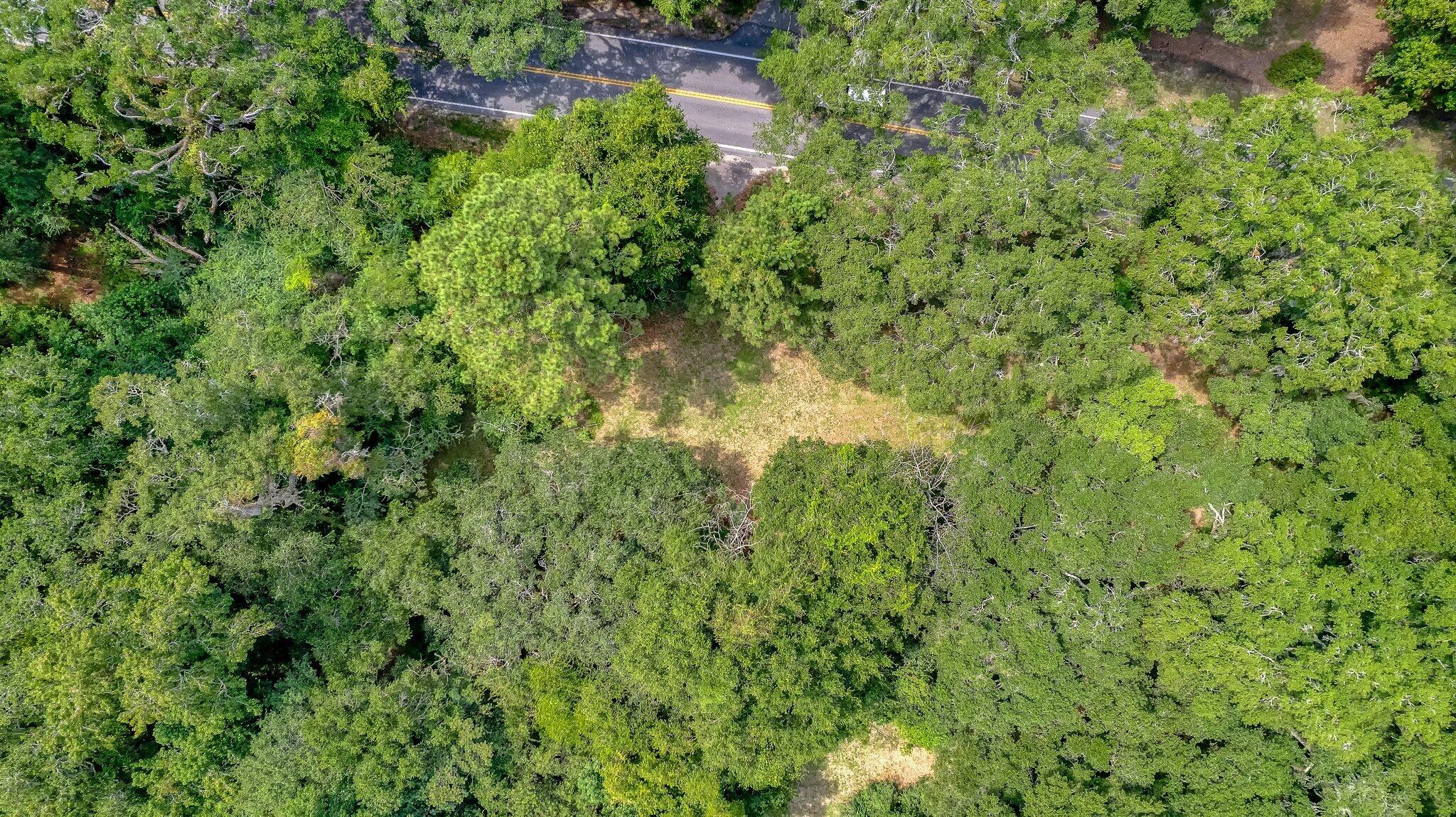 3609 Bohicket Road Johns Island, SC 29455 - Photo 11 of 34 13-web-or-mls-CREM_3609 Bohicket Rd_013