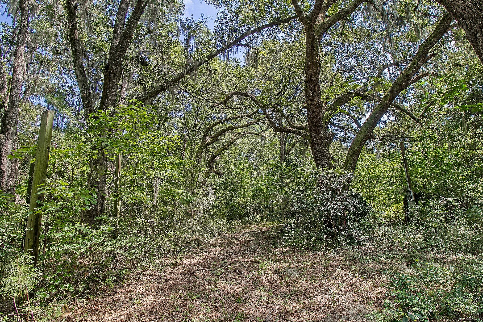 3609 Bohicket Road Johns Island, SC 29455 - Photo 17 of 34 36-web-or-mls-CREM_3609 Bohicket Rd_036