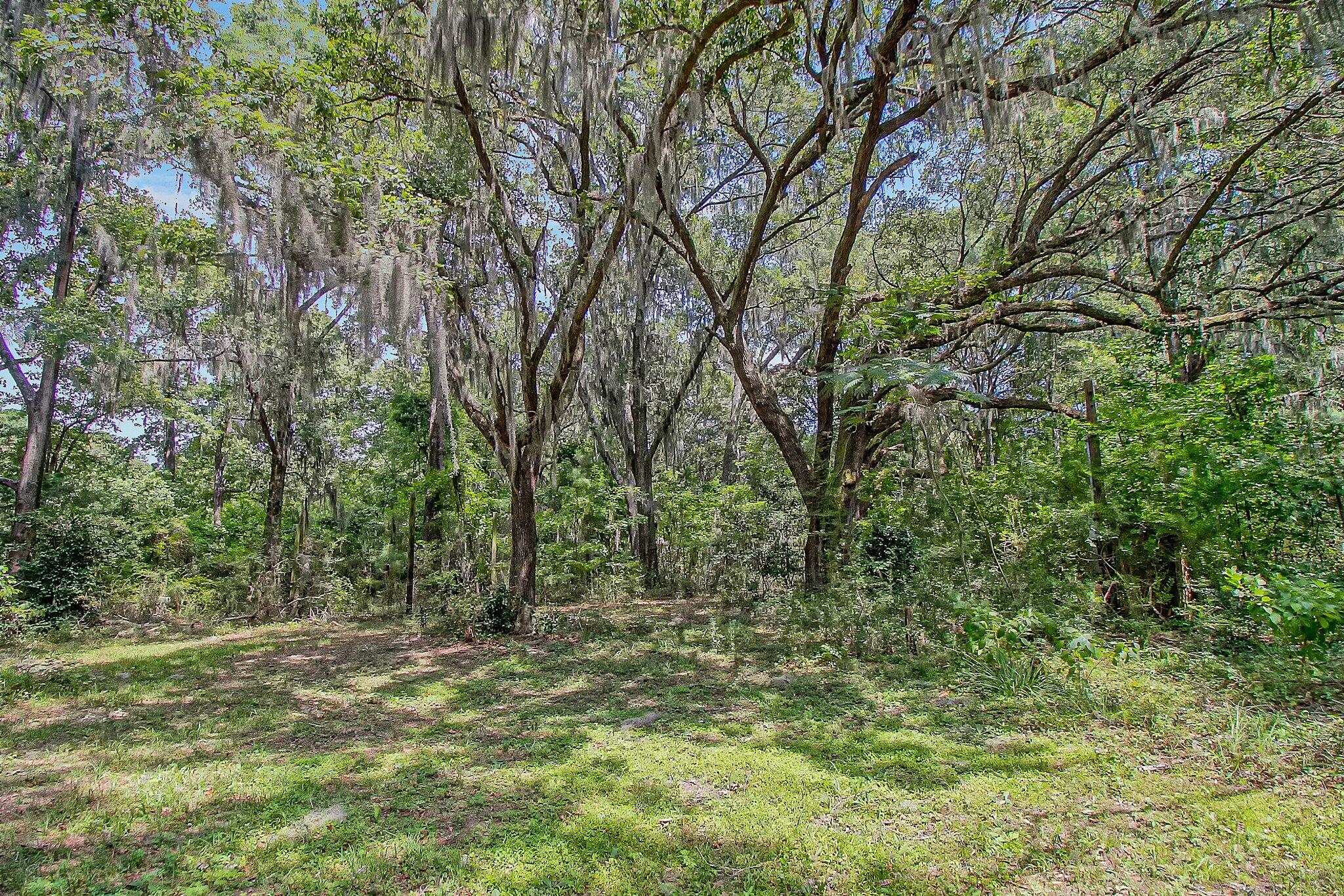 3609 Bohicket Road Johns Island, SC 29455 - Photo 18 of 34 34-web-or-mls-CREM_3609 Bohicket Rd_034