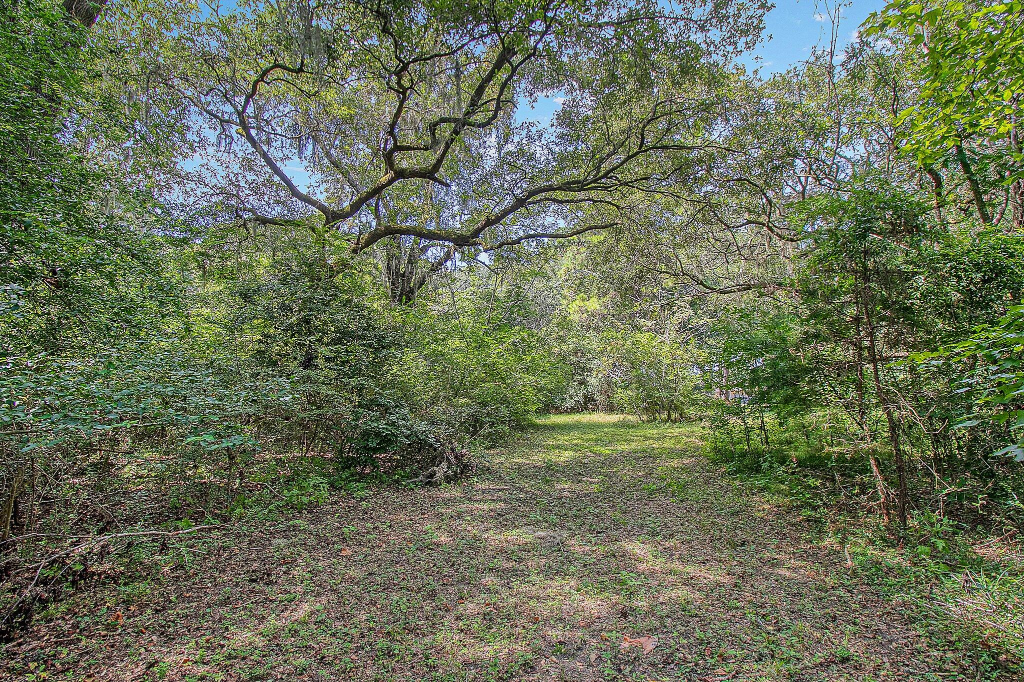 3609 Bohicket Road Johns Island, SC 29455 - Photo 20 of 34 30-web-or-mls-CREM_3609 Bohicket Rd_030