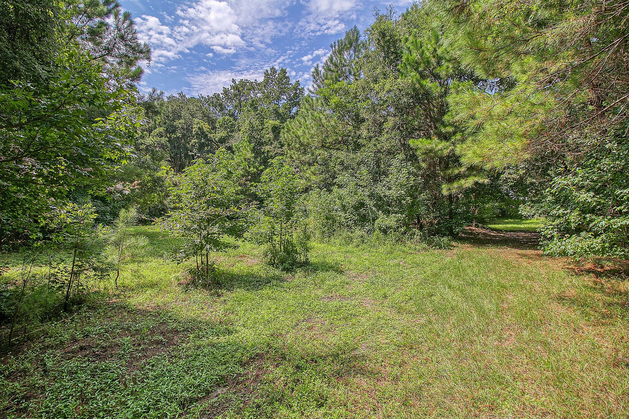 3609 Bohicket Road Johns Island, SC 29455 - Photo 21 of 34 28-web-or-mls-CREM_3609 Bohicket Rd_028