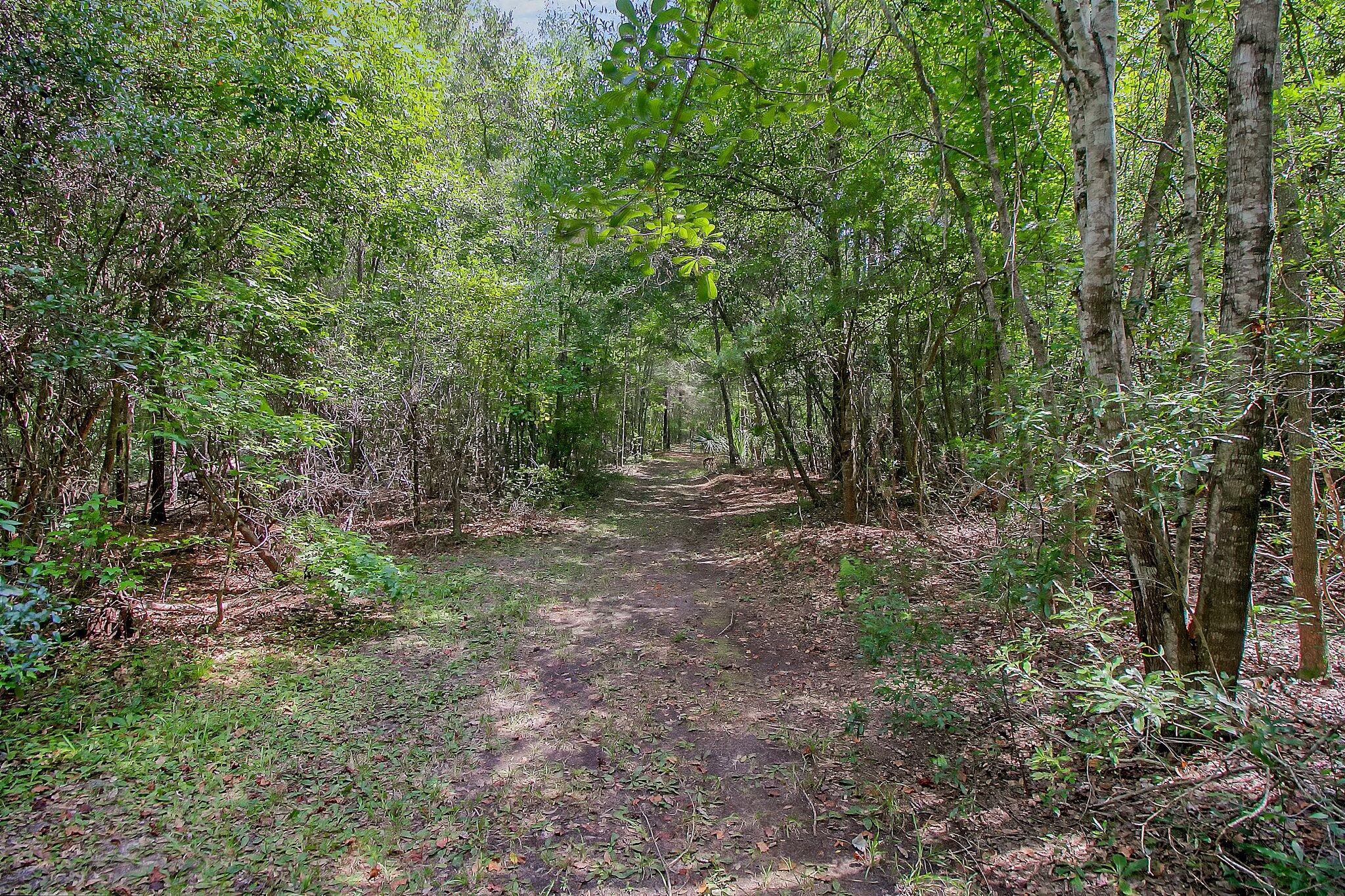 3609 Bohicket Road Johns Island, SC 29455 - Photo 22 of 34 27-web-or-mls-CREM_3609 Bohicket Rd_027