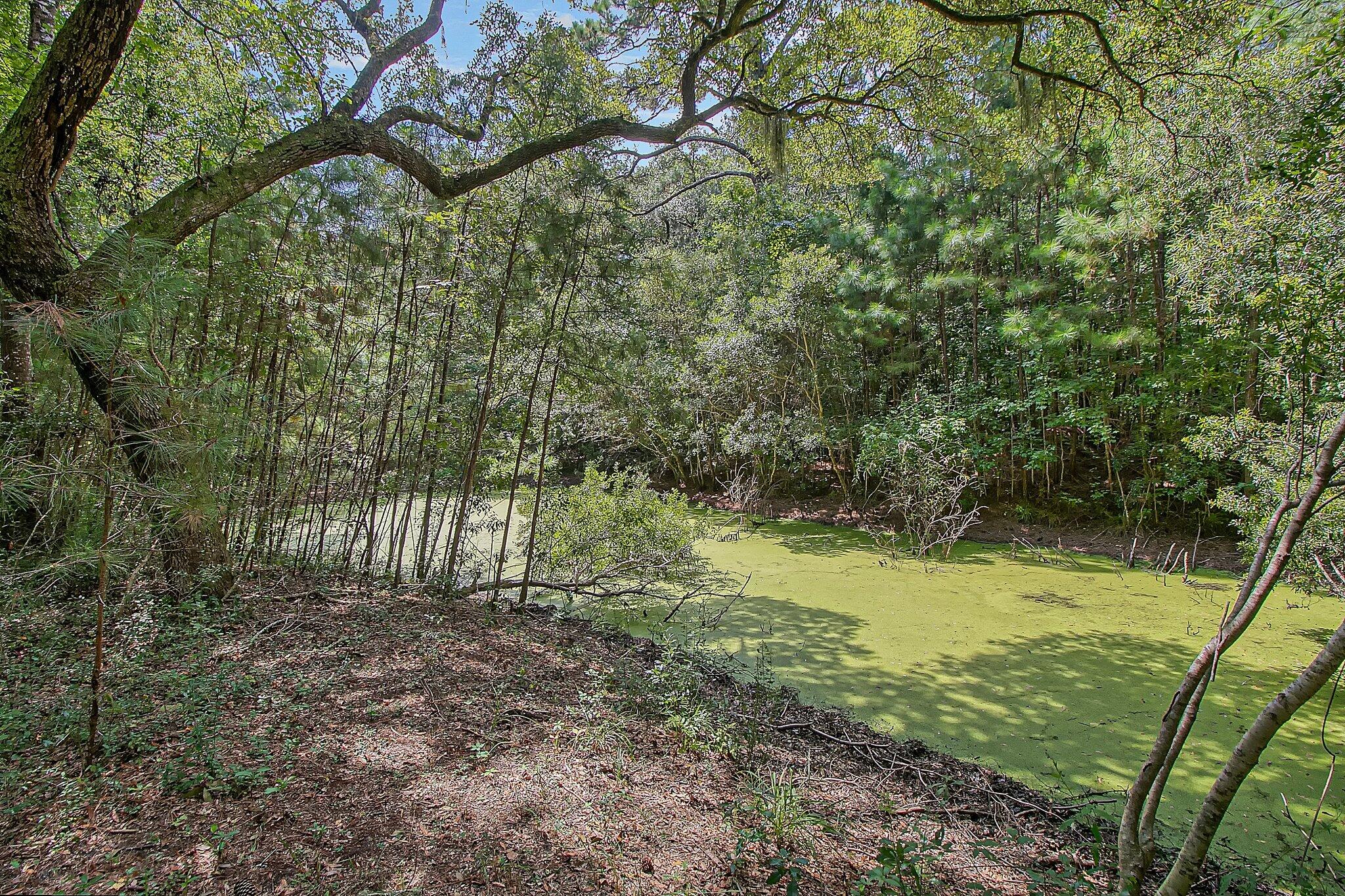 3609 Bohicket Road Johns Island, SC 29455 - Photo 24 of 34 25-web-or-mls-CREM_3609 Bohicket Rd_025