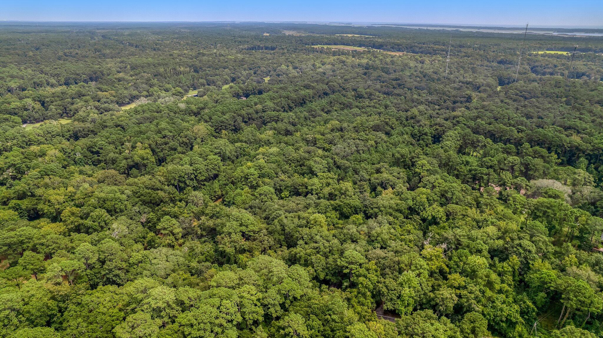 3609 Bohicket Road Johns Island, SC 29455 - Photo 29 of 34 16-web-or-mls-CREM_3609 Bohicket Rd_016