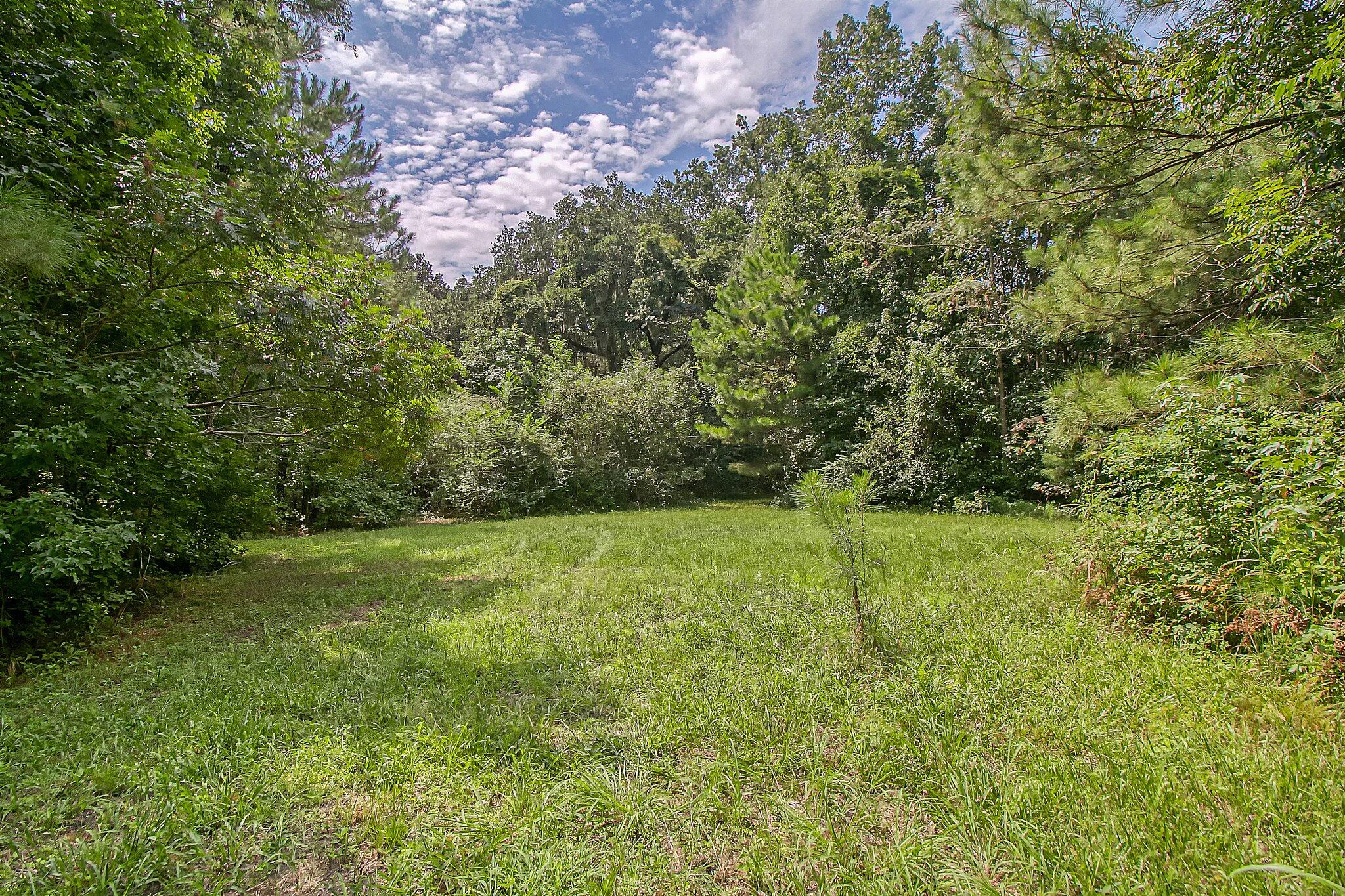 3609 Bohicket Road Johns Island, SC 29455 - Photo 6 of 34 29-web-or-mls-CREM_3609 Bohicket Rd_029