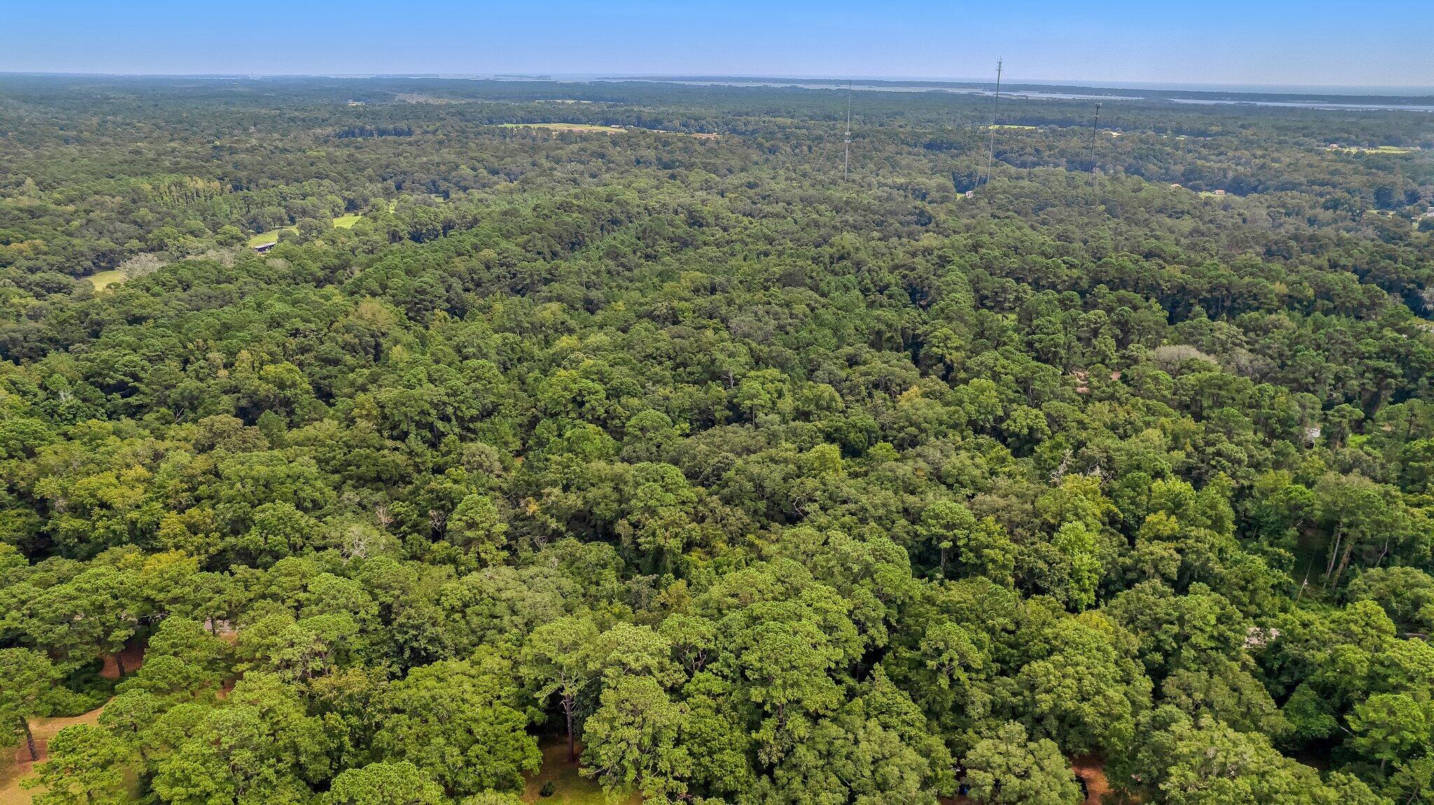 3609 Bohicket Road Johns Island, SC 29455 - Photo 10 of 34 15-web-or-mls-CREM_3609 Bohicket Rd_015