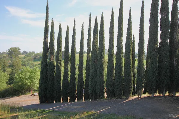$950,000 | 8551 Windy Ridge Trail, Winters, CA 95694