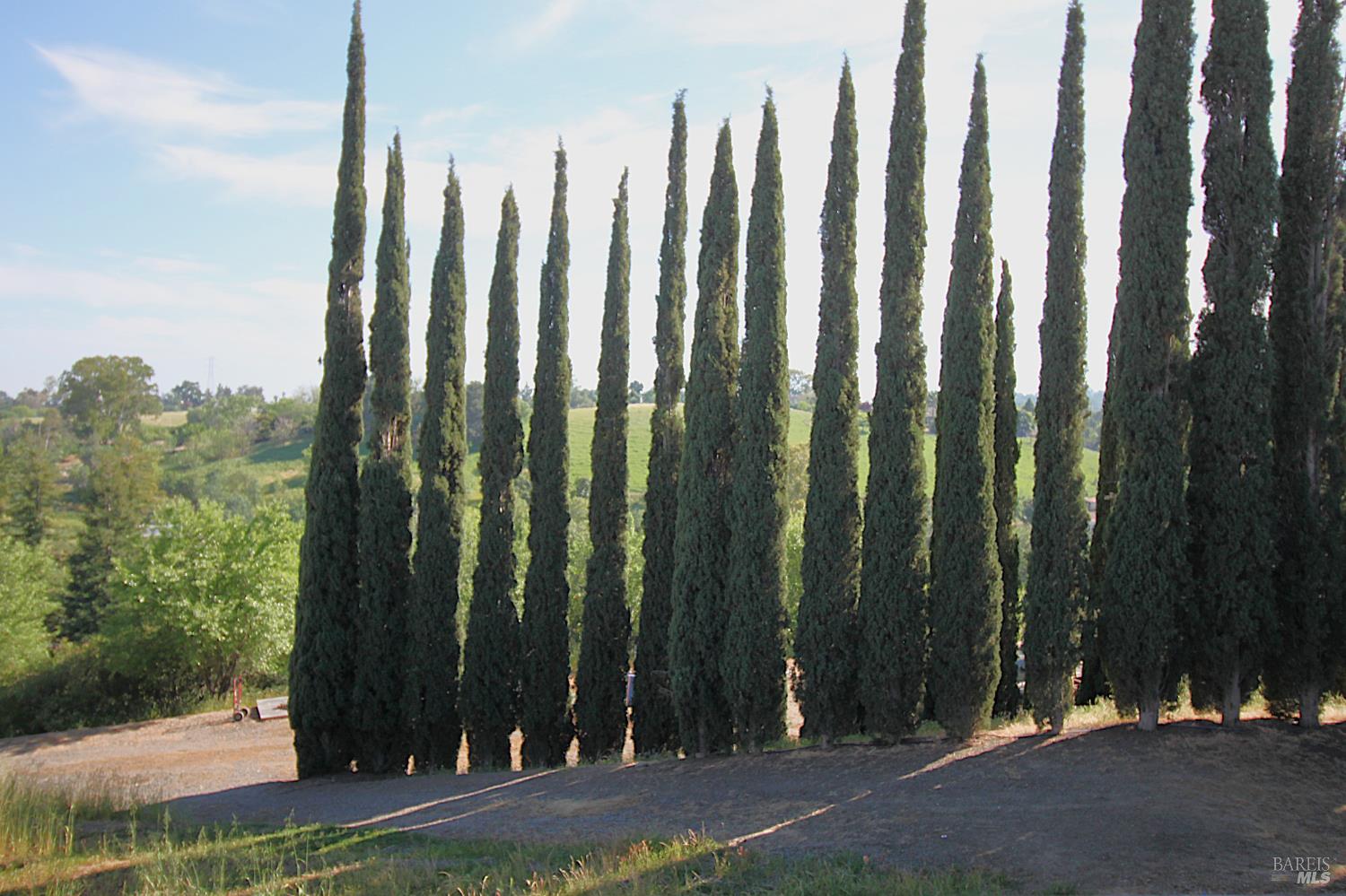 8551 Windy Ridge Trail Winters, CA 95694 - Photo 43 of 51