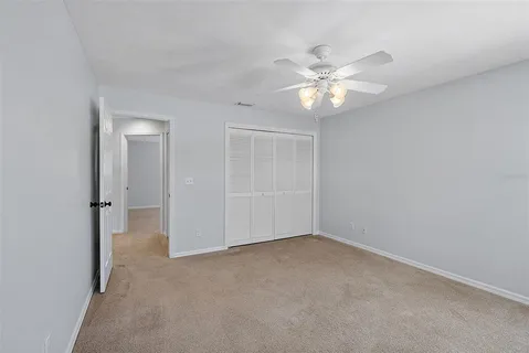 a view of a backyard with a tree