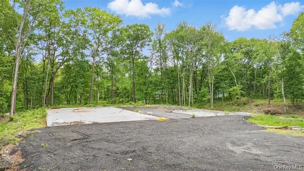a view of road with large trees