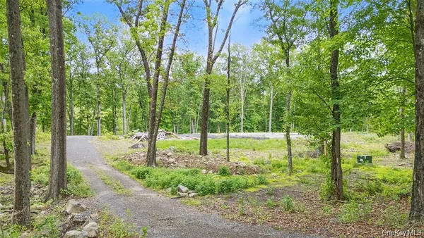 a view of back yard and trees