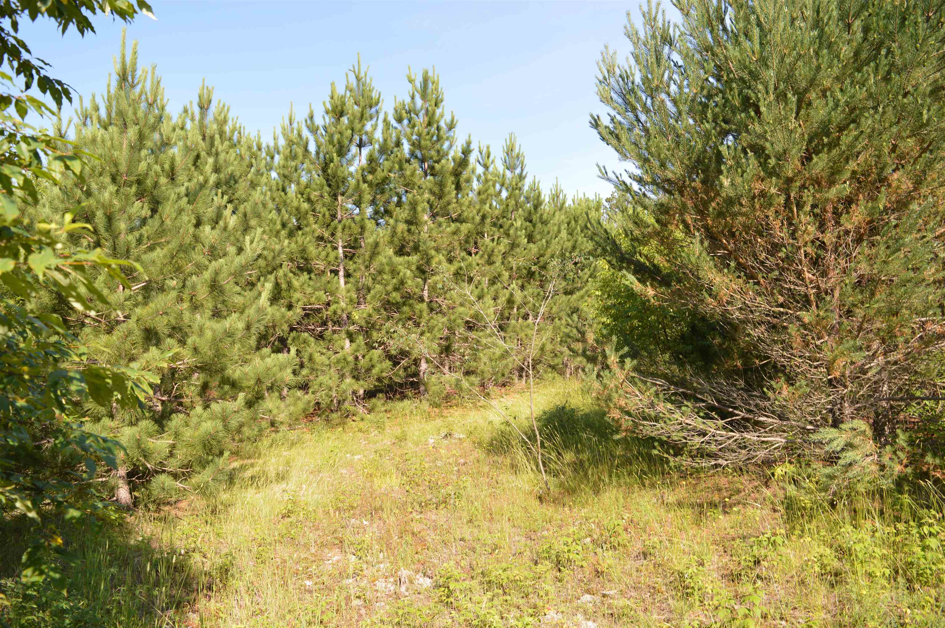 Northeast Holly Road, Unit LOT: A Kalkaska, MI 49646 - Photo 24 of 27