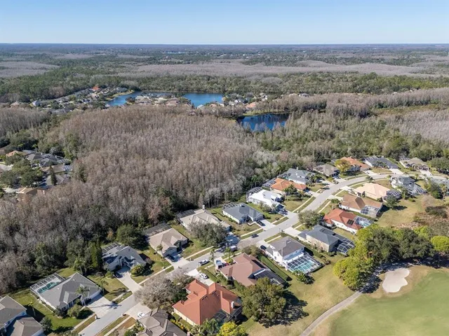 $949,998 | 18916 St Laurent Drive, Lutz, FL 33558