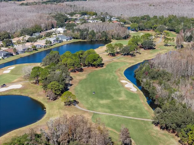 $949,998 | 18916 St Laurent Drive, Lutz, FL 33558