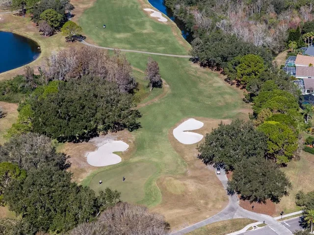 $949,998 | 18916 St Laurent Drive, Lutz, FL 33558