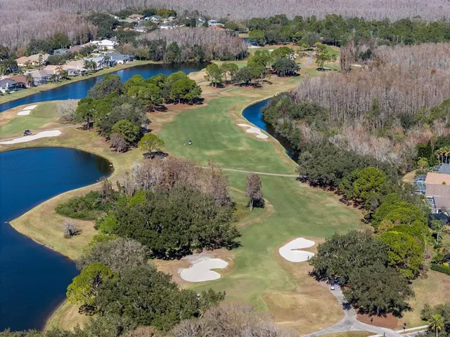 $949,998 | 18916 St Laurent Drive, Lutz, FL 33558