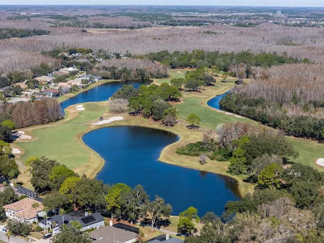 $949,998 | 18916 St Laurent Drive, Lutz, FL 33558