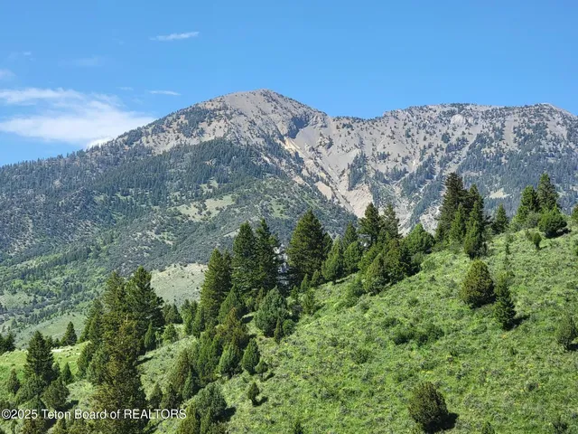 $2,975,000 | 1480 Cutthroat Run, Irwin, ID 83428