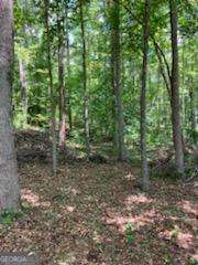 0 Poplar Place Wedowee, AL 36278 - Photo 8 of 11