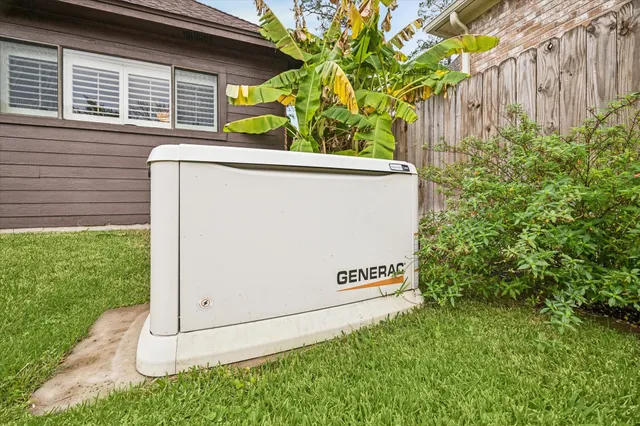 a view of a backyard with plants