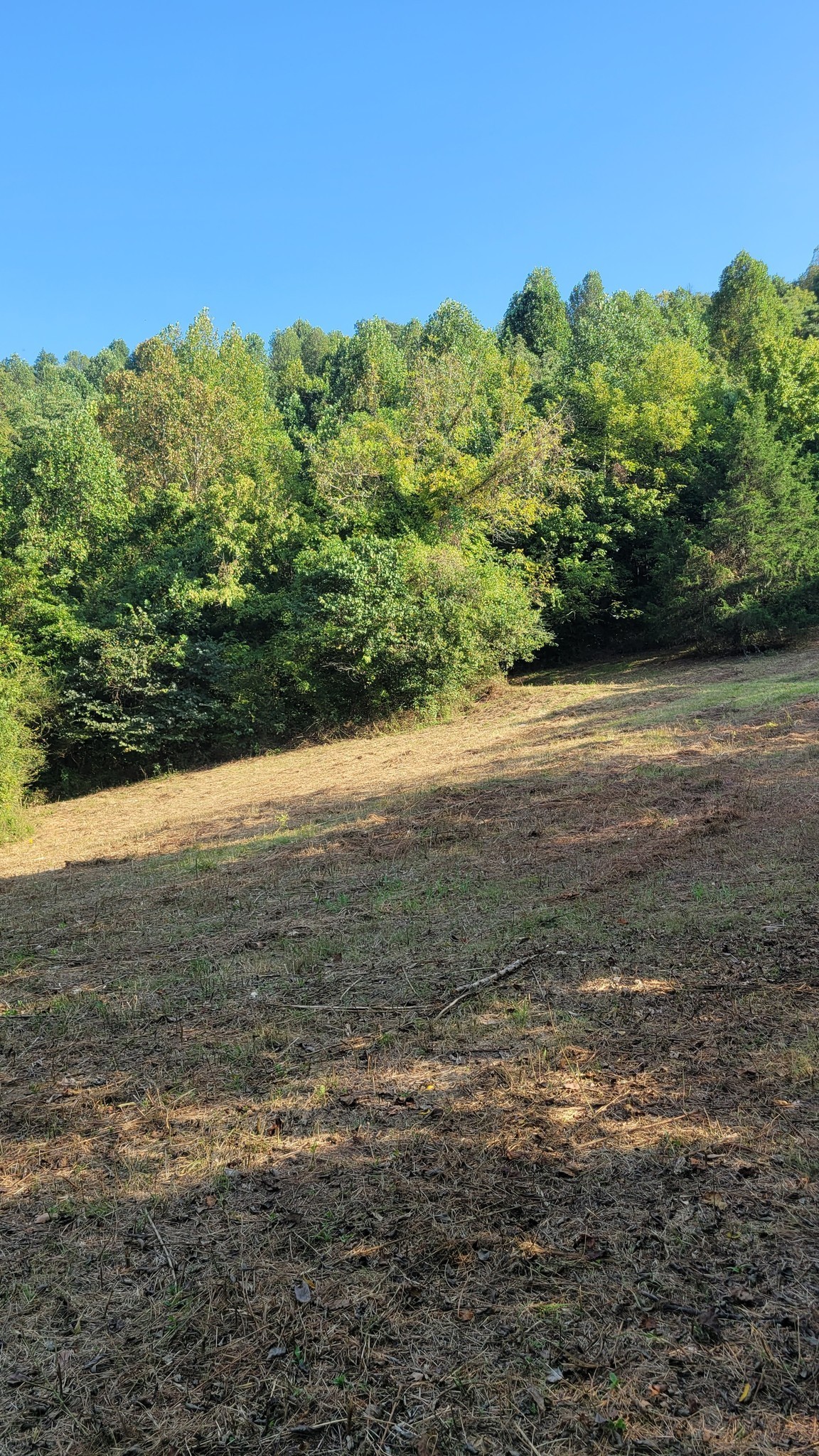 0 Hannah Branch Road Petersburg, TN 37144 - Photo 12 of 12