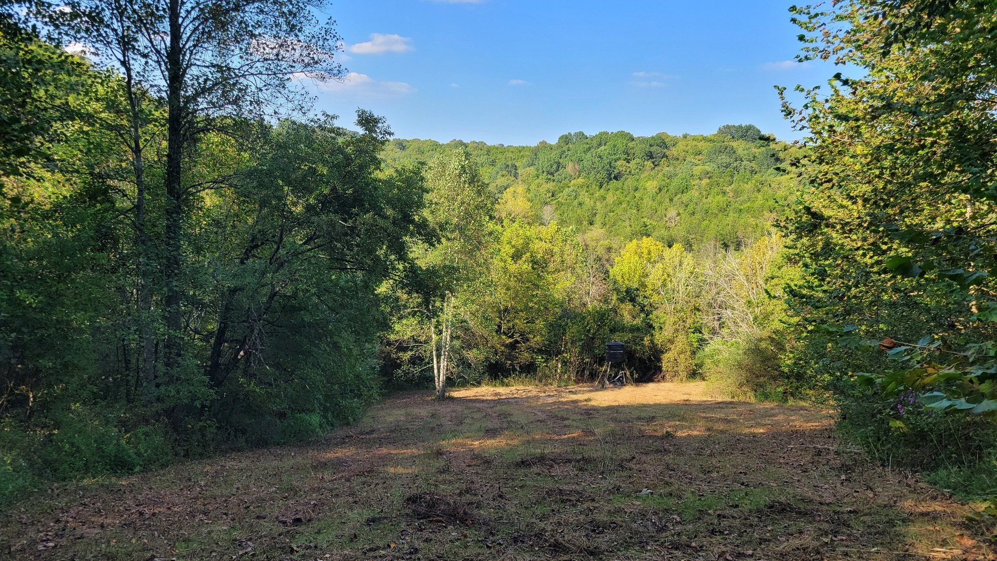 0 Hannah Branch Road Petersburg, TN 37144 - Photo 2 of 12