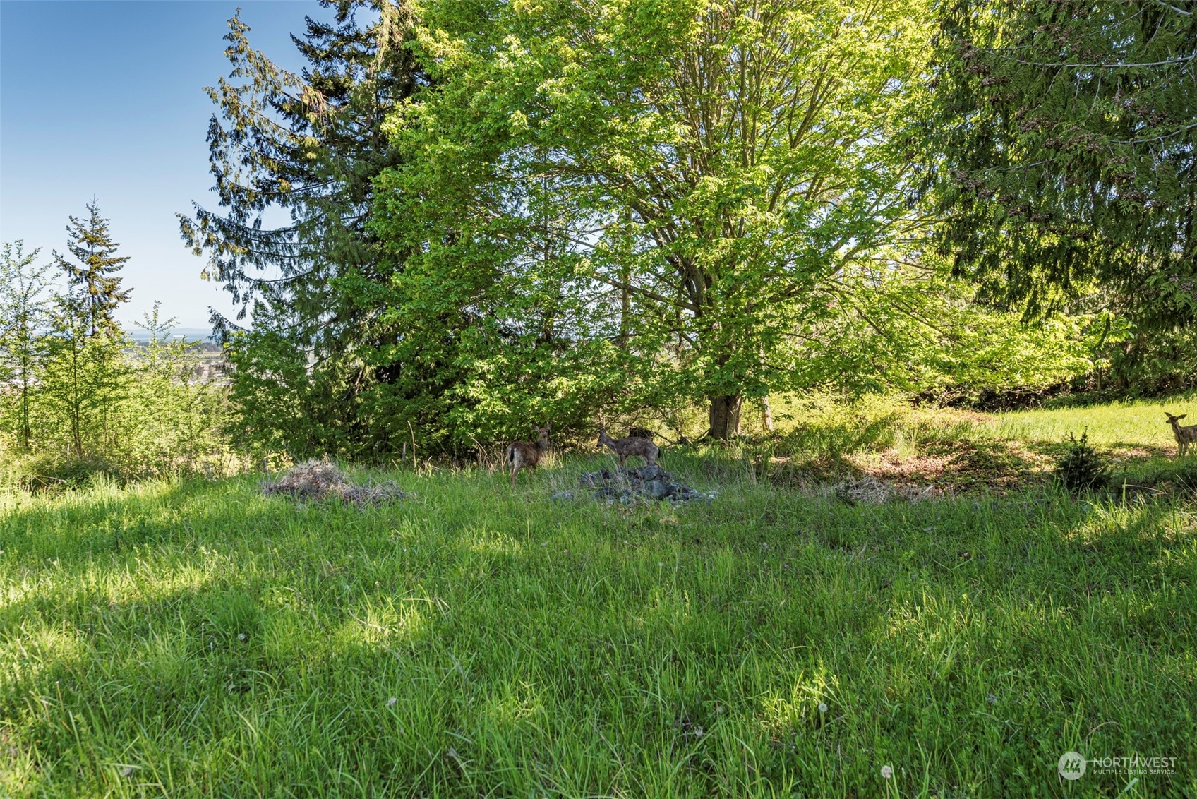2-lot Fox Hollow Road Sequim, WA 98382 - Photo 17 of 23 Gallery Image 17