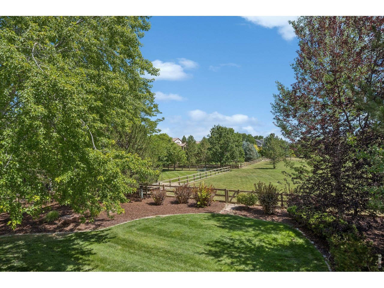 6583 Rookery Road Fort Collins, CO 80528 - Photo 45 of 50 The home backs to a gorgeous greenbelt