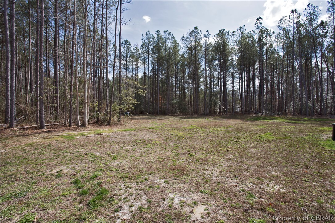 1496 Elsom Mascot Road Mattaponi, VA 23110 - Photo 31 of 33 a view of a yard with trees