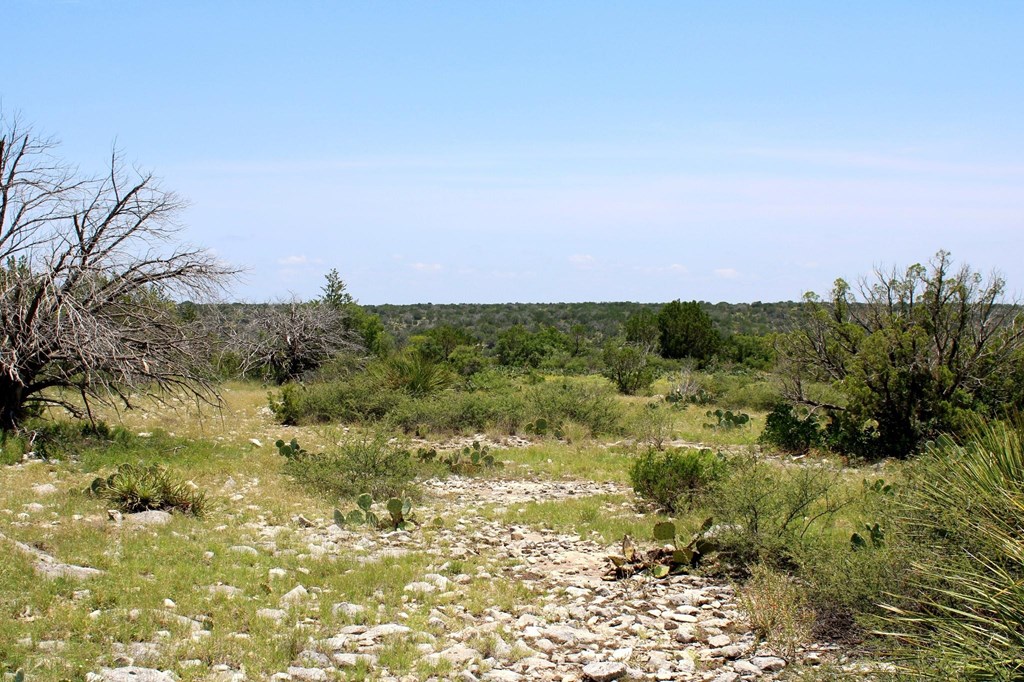 2519 Widmark Road Comstock, TX 78837 - Photo 27 of 49 a view of a city