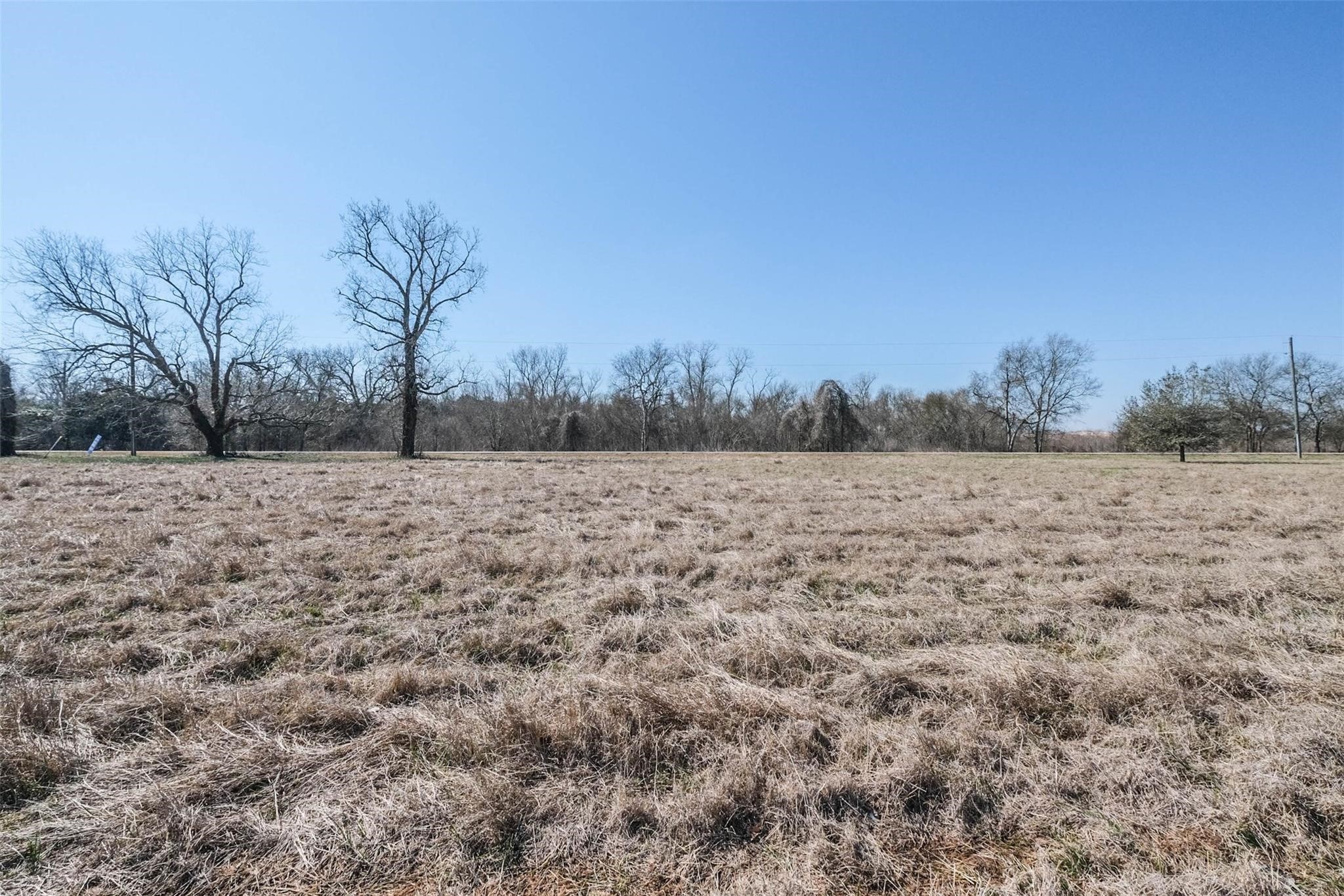 38034 Boot Hill Road East Wallis, TX 77485 - Photo 12 of 19