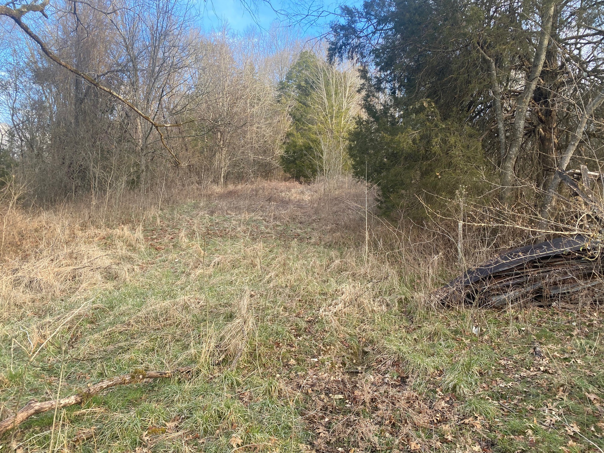 3420 Tarpley Shop Road Pulaski, TN 38478 - Photo 11 of 18 a view of a yard