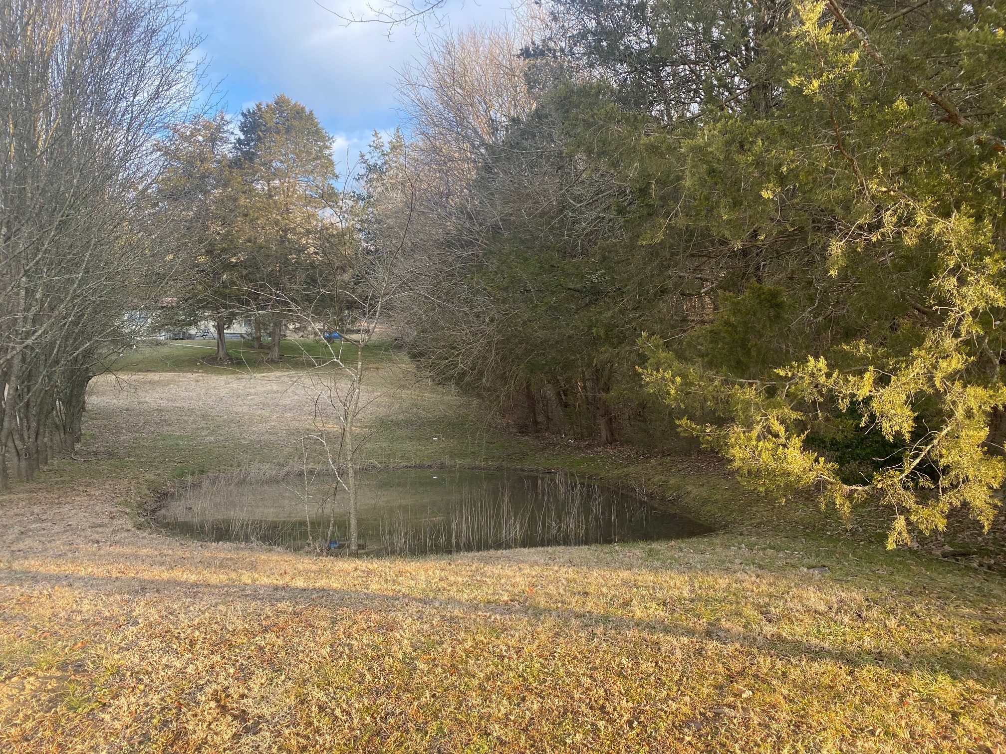 3420 Tarpley Shop Road Pulaski, TN 38478 - Photo 4 of 18 a view of a yard