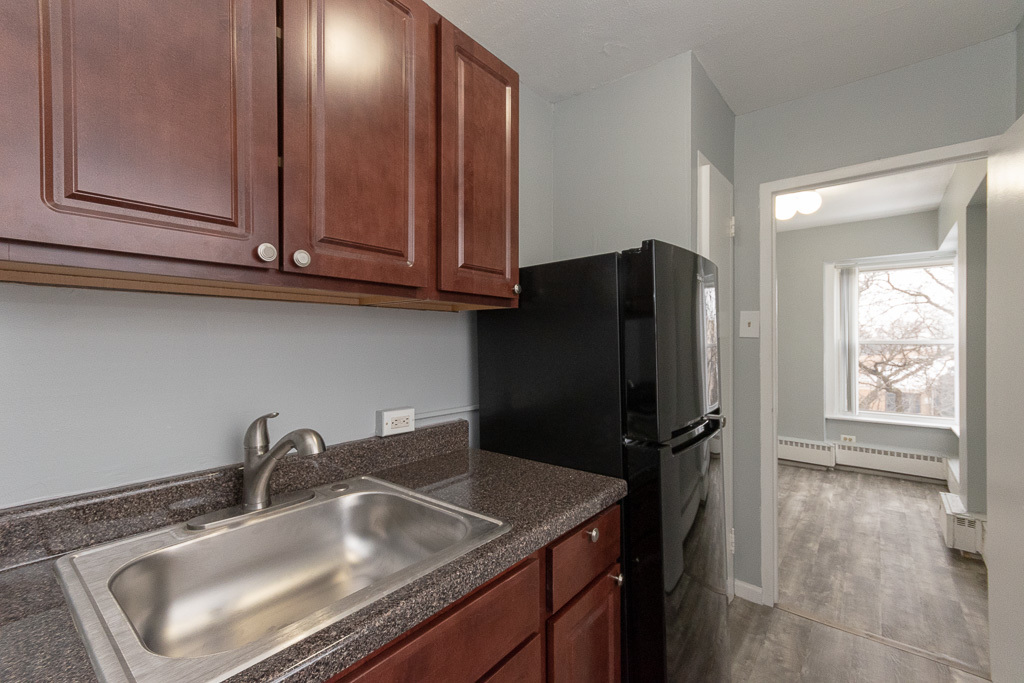 7333 North Ridge Boulevard, Unit 409 Chicago, IL 60645 - Photo 3 of 19 Gallery Image 3