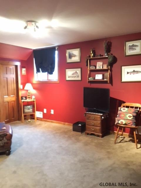223 Overlook Heights Road Delanson, NY 12053 - Photo 17 of 24 Photo 17