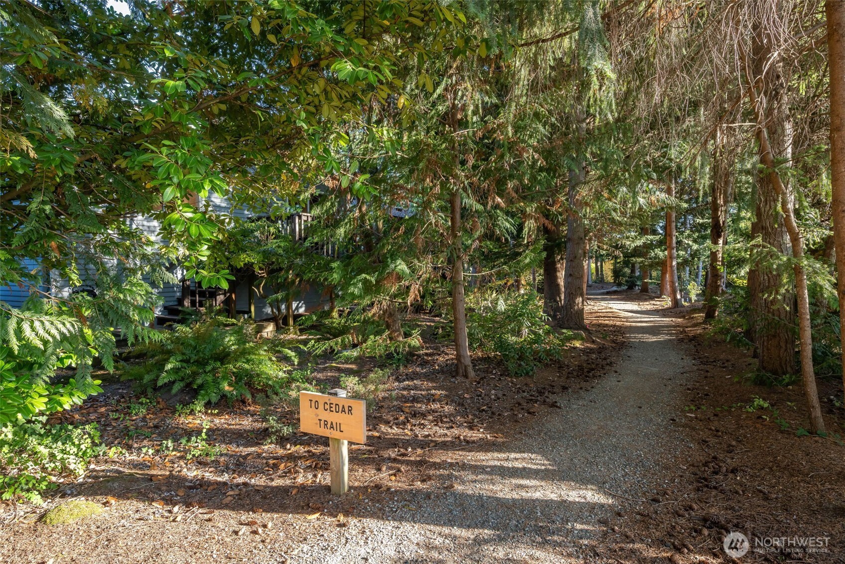 24431 11th Avenue South Des Moines, WA 98198 - Photo 30 of 39 a backyard of a house with lots of green space