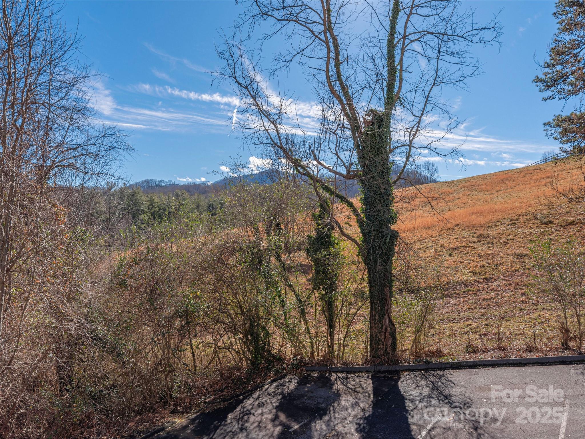 53 Vancott Court Clyde, NC 28721 - Photo 13 of 23 a view of a yard with an trees