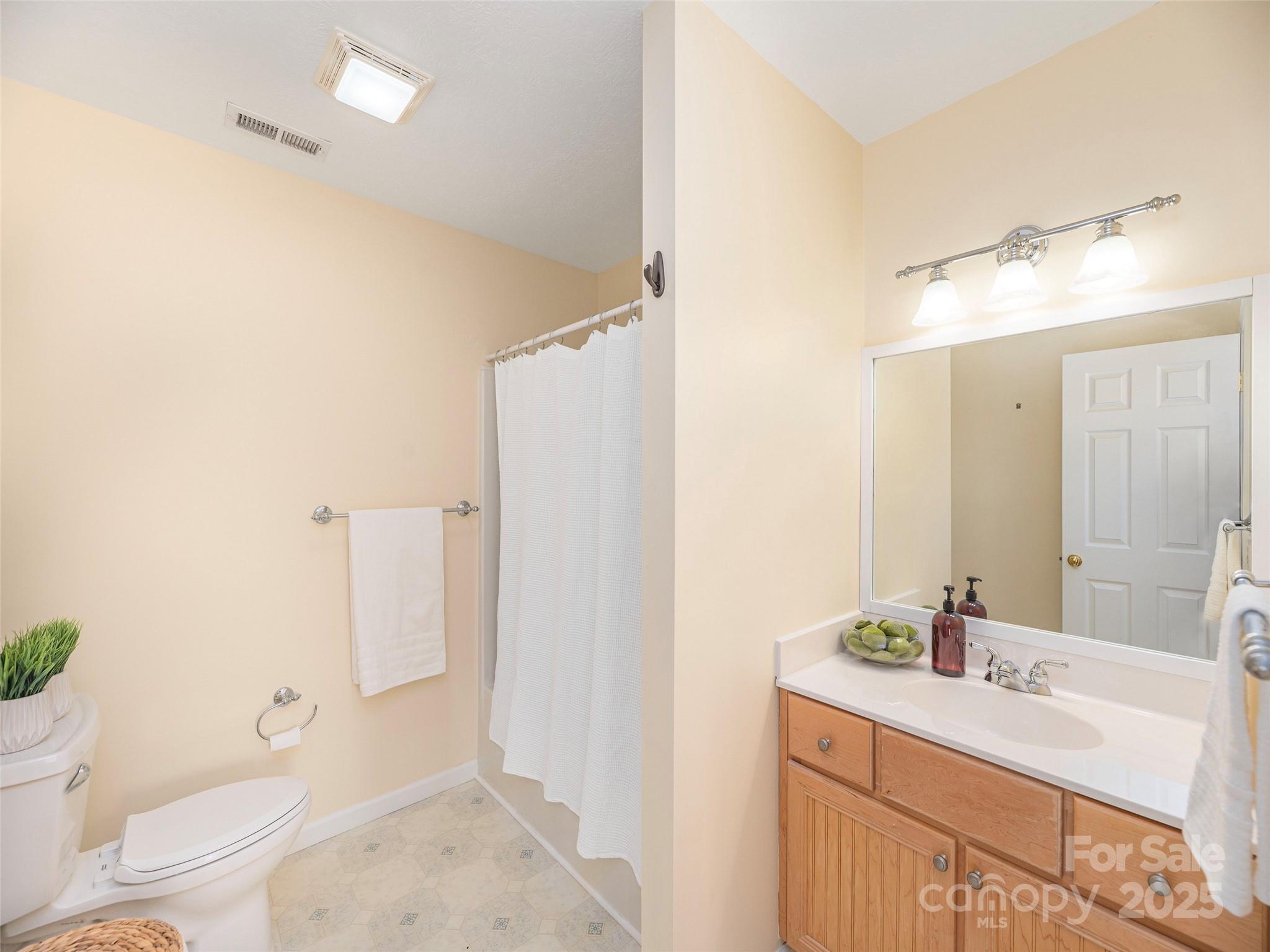 53 Vancott Court Clyde, NC 28721 - Photo 16 of 23 a bathroom with a sink a toilet a mirror and shower