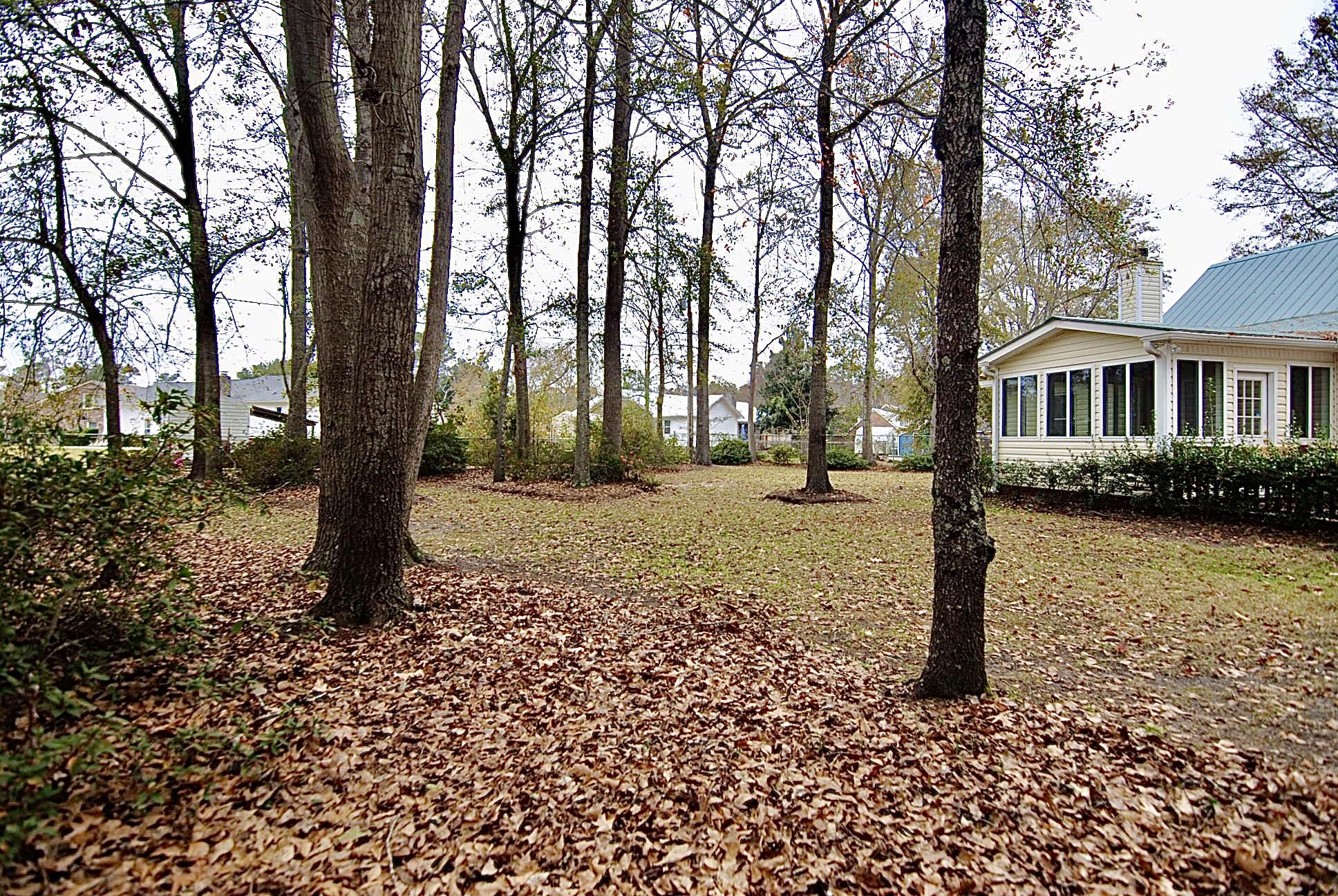 308 Carson Court Moncks Corner, SC 29461 - Photo 3 of 14 Back