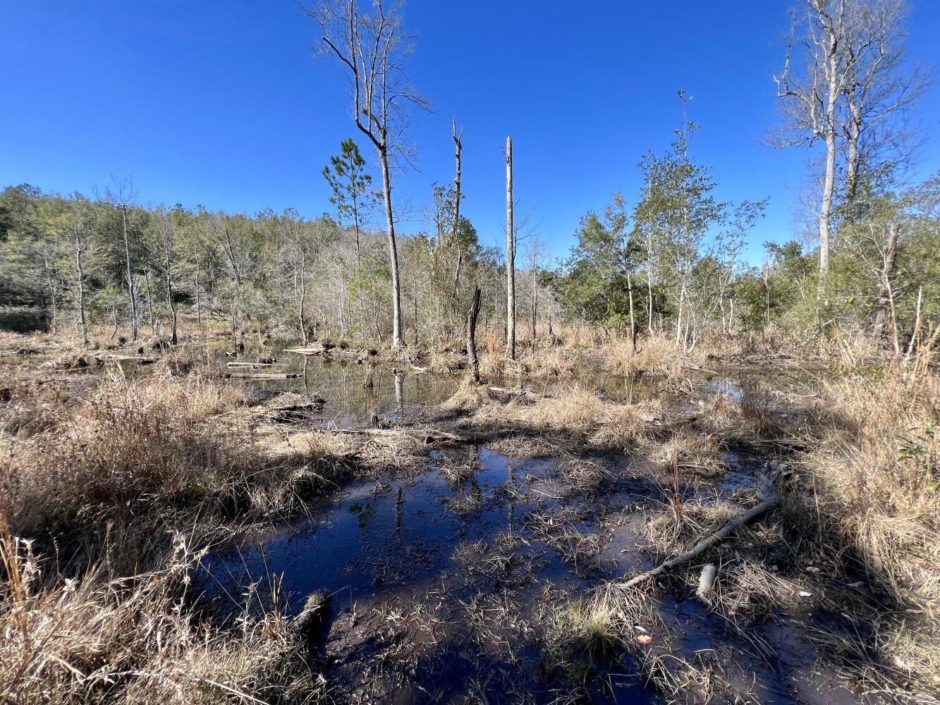0 Dixon Road Bay Minette, AL 36507 - Photo 31 of 50