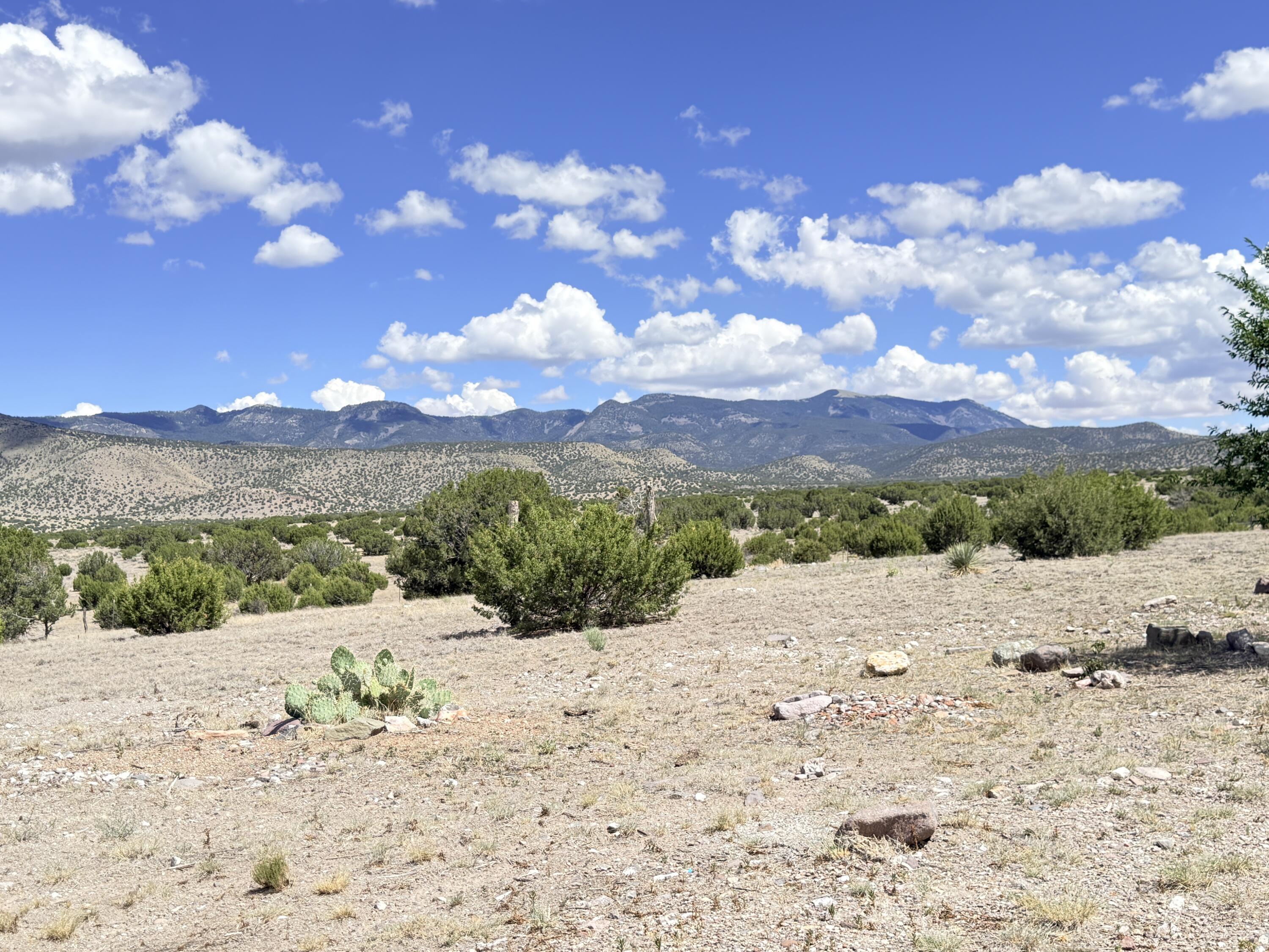 32 Brahman Road Magdalena, NM 87825 - Photo 42 of 59 Gallery Image 42