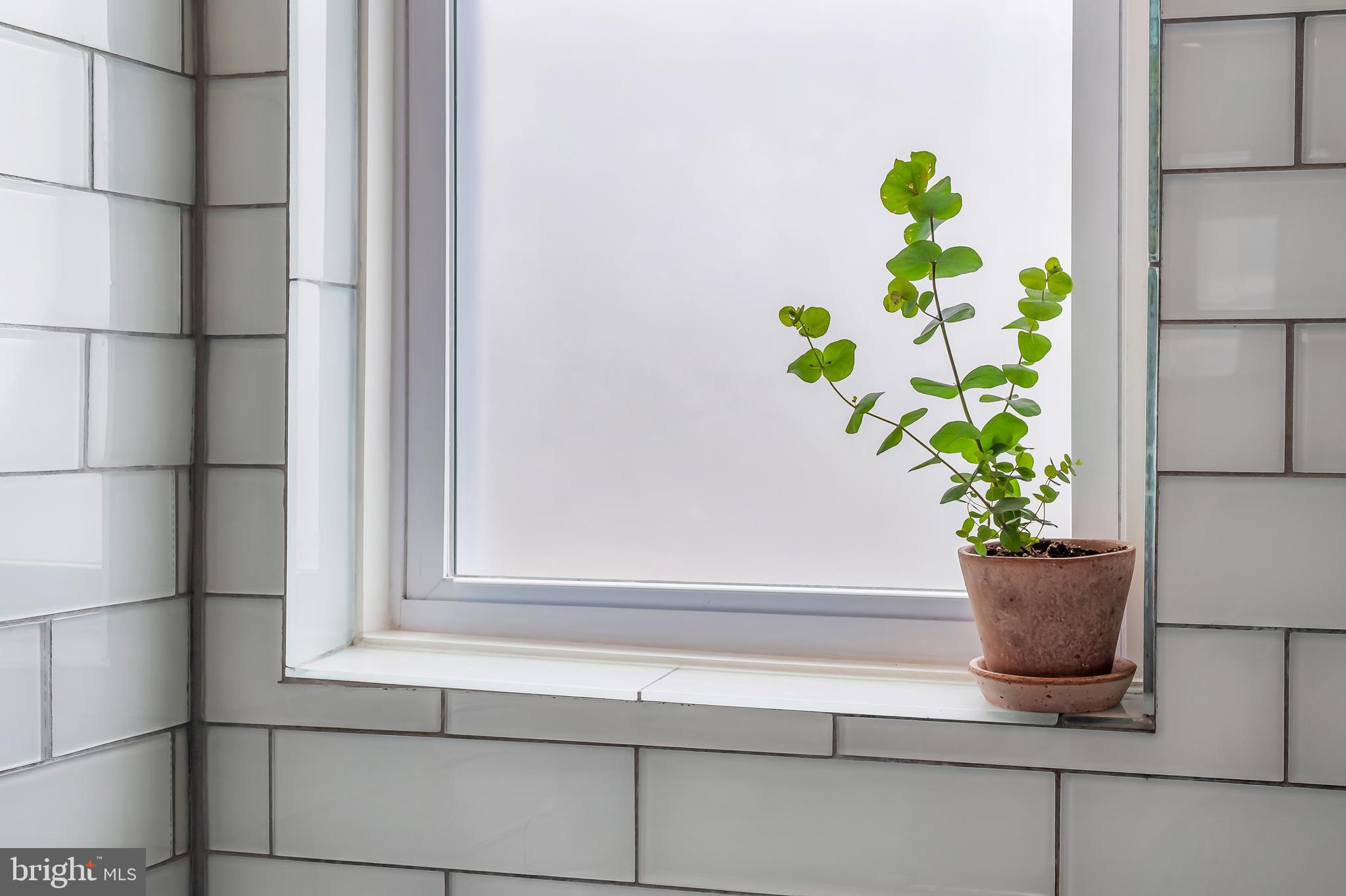 3409 Keswick Road Baltimore, MD 21211 - Photo 41 of 49 a potted plant sitting on a shelf