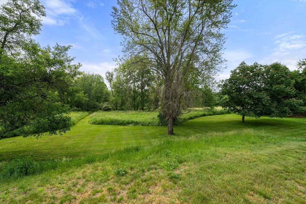 142 Pelham Island Road Wayland, MA 01778 - Photo 7 of 39 a view of an trees in a yard
