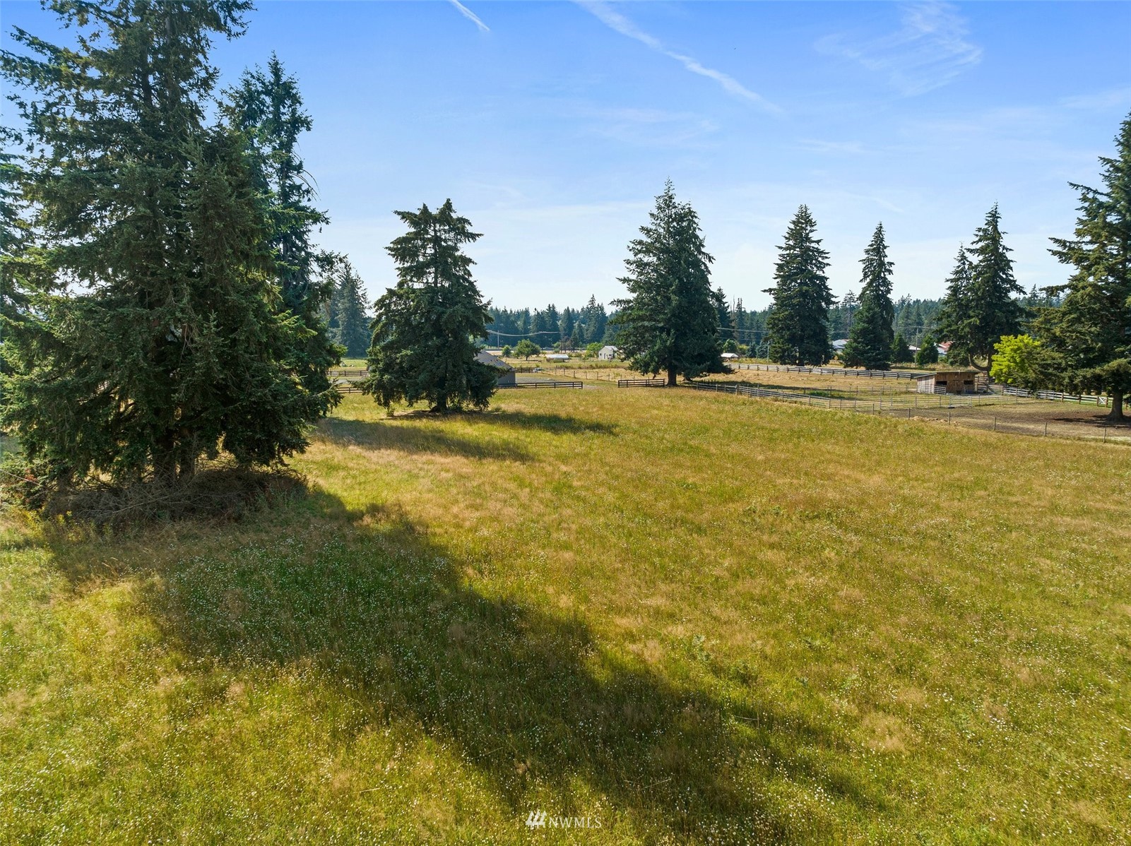 16622 Leitner Road Southwest Rochester, WA 98579 - Photo 29 of 29 a view of a yard with trees in the background
