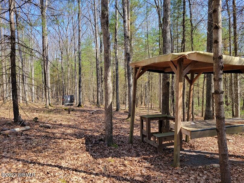 264 Hickory Ridge Road Mill Hall, PA 17751 - Photo 27 of 39 Gallery Image 27