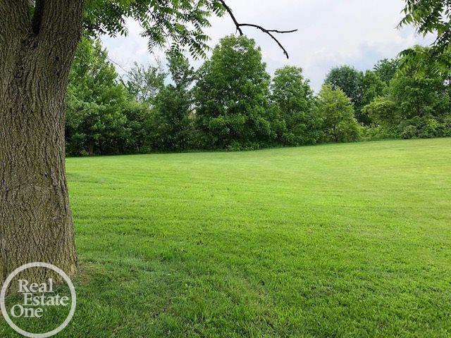 19655 21 Mile Road Macomb, MI 48044 - Photo 10 of 28 31384379-9.JPG