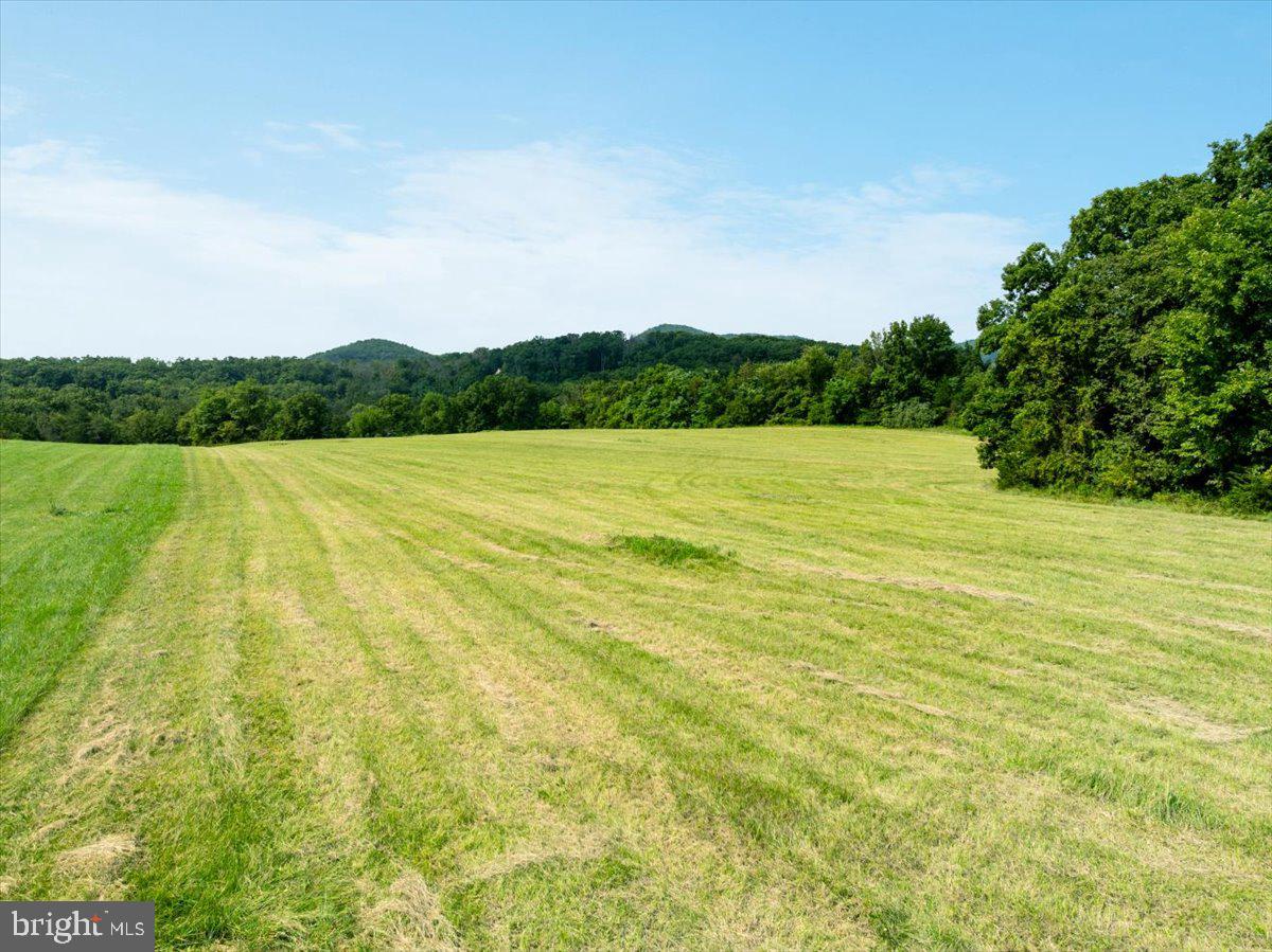Strasburg Road Strasburg, VA 22657 - Photo 2 of 21 Gallery Image 2
