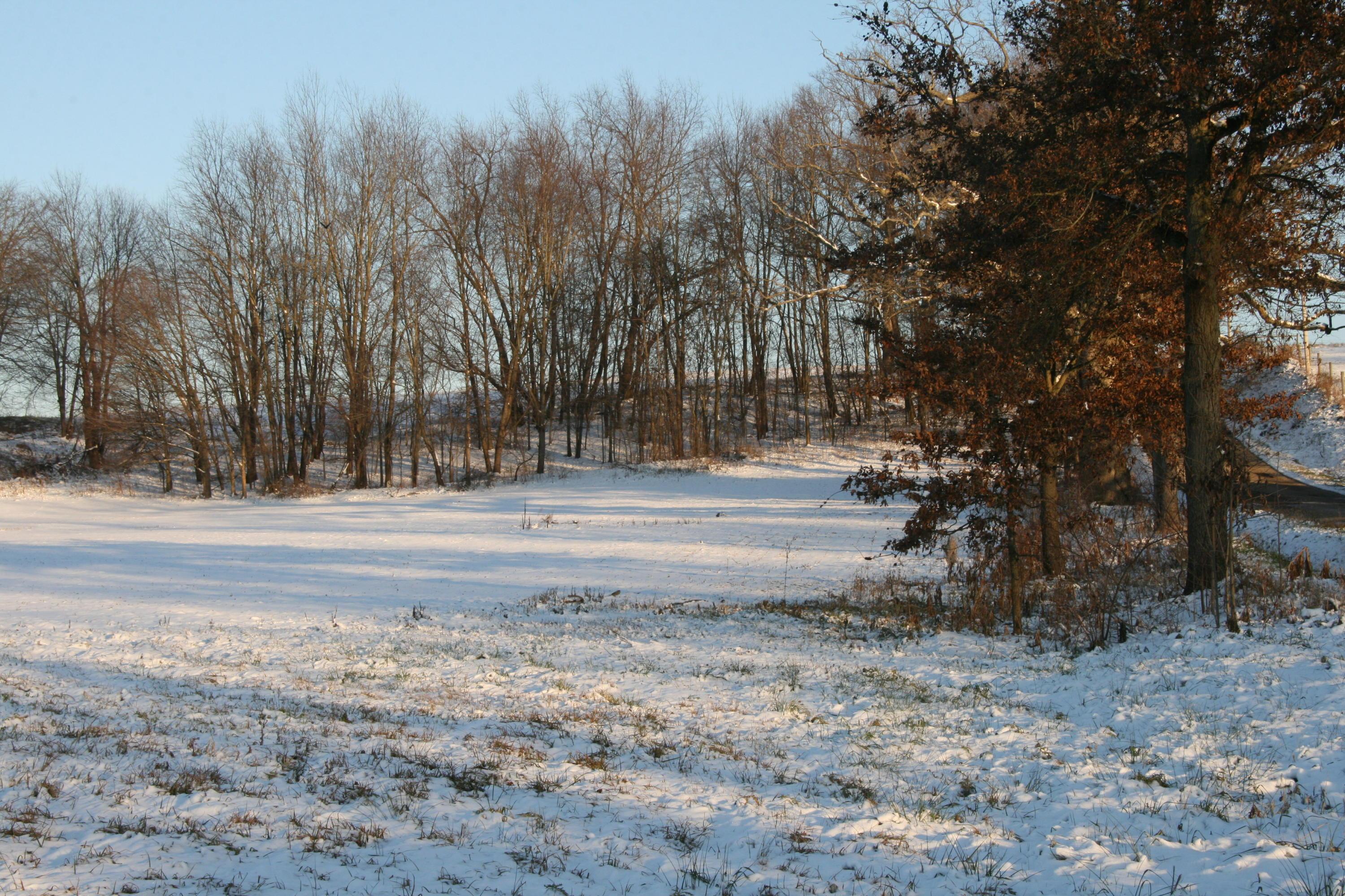 Lot 2 Smith Road Fredericktown, OH 43019 - Photo 2 of 2